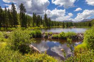 Beaver pond-5796.jpg Beaver pond-5796.jpg
